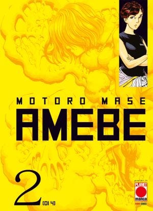 AMEBE N.2 (ISBN)