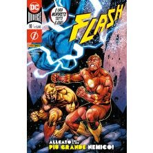 FLASH N.10